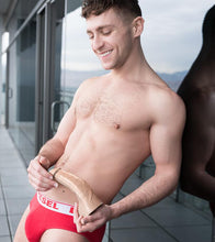 Load image into Gallery viewer, FALSE